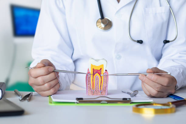 Best Emergency Broken Tooth Repair in Austintown, OH